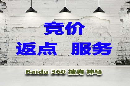 SEM推广案例：从无到有的转变